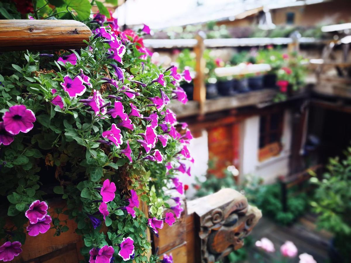 Courtyard Shangri-La 藏舍小院 Bed & Breakfast Exterior foto